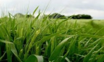 Un PIB agricole maîtrisé à 110 MMDH Un PIB agricole maîtrisé à 110 MMDH