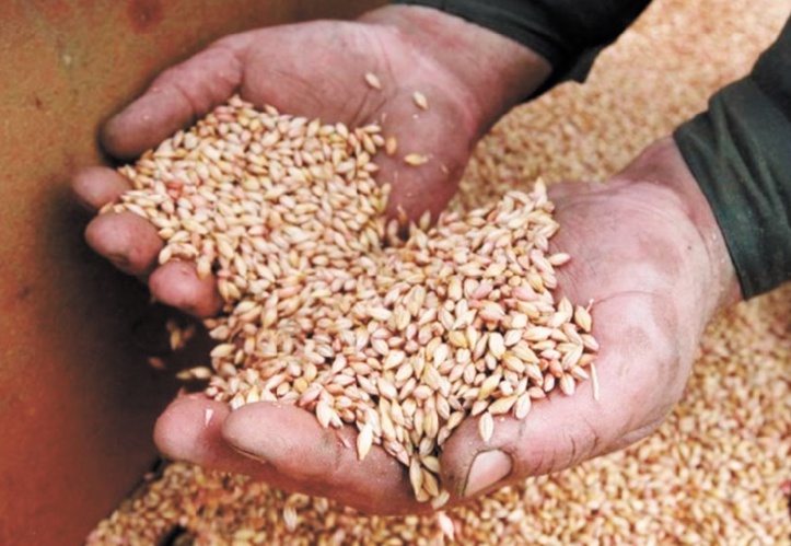 La campagne actuelle affiche le volume pluviométrique le plus faible des 30 dernières années La campagne actuelle affiche le volume pluviométrique le plus faible des 30 dernières années