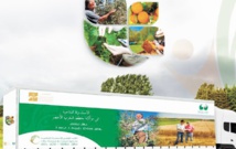 Le village itinérant du conseil agricole à Béni Mellal-Khénifra Le village itinérant du conseil agricole à Béni Mellal-Khénifra