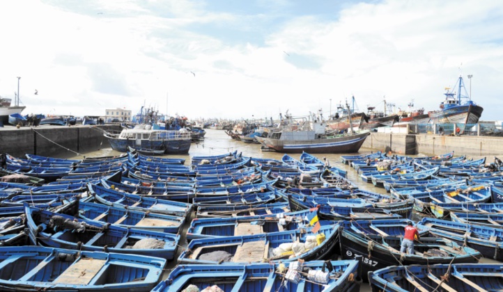 Malal évoque l’impact écologique de l’extension du port d’Essaouira Malal évoque l’impact écologique de l’extension du port d’Essaouira