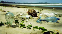 "Santé et environnement", thème d’une rencontre à Agadir