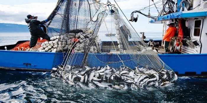 Ports situés sur la Méditerranée: Baisse de 30% des débarquements de pêche en janvier