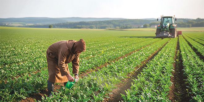 Agriculture : L'ADA lance un appel à projet d'Alliances Productives