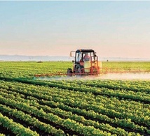 Des conditions climatiques exceptionnelles qui annoncent une meilleure campagne agricole