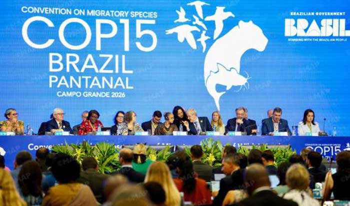 Participation du Maroc aux travaux de la COP15 au Brésil : «Connecter la nature pour préserver la vie»