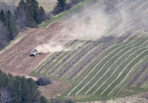 Les cultures OGM pas plus risquées pour l'environnement et la santé