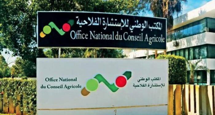 La Direction régionale du conseil agricole de Souss-Massa participe à la 13ème édition du Festival de l'Amandier à Tafraout