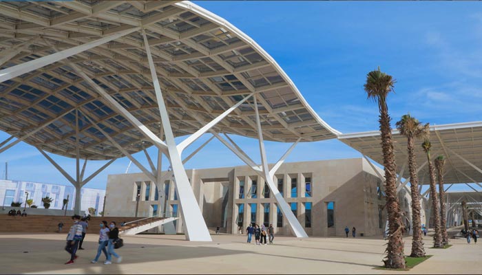 Startups : L’UM6P Africa Business School lance “The Pulse”, un hub de données sur l’écosystème startup