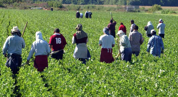 La face cachée des projets migratoires européens au Maroc : Externaliser, encadrer, contenir… 