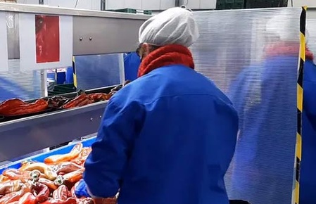 Andalousie : Participation marocaine à une rencontre commerciale dédiée à l'agroalimentaire