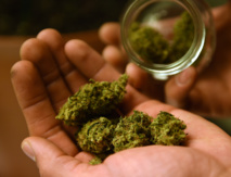 Le cannabis thérapeutique par cigarettes électroniques plus efficace que les joints