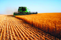 L'agriculture, moteur du développement économique au Maroc L'agriculture, moteur du développement économique au Maroc