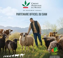 Au SIAM 2026, le Crédit Agricole du Maroc scelle cinq partenariats stratégiques Au SIAM 2026, le Crédit Agricole du Maroc scelle cinq partenariats stratégiques