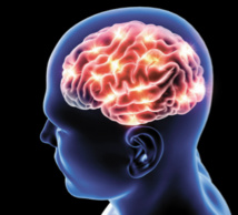 Santé : La maladie d'Alzheimer, une réaction à une infection ?