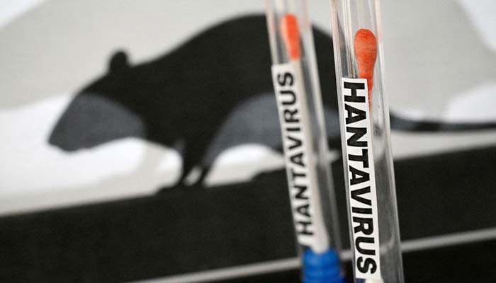 Hantavirus en mer, confinement aux Canaries
