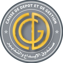 Création de “Damane notaires “