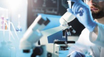 Paludisme: des bactéries résistantes aux médicaments en Asie du Sud-est