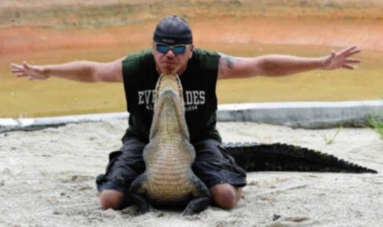 Plus d'alligators, plus d'humains, la cohabitation tourne au drame en Floride Plus d'alligators, plus d'humains, la cohabitation tourne au drame en Floride