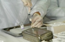 Le vaccin le plus avancé contre le paludisme moins efficace après quelques années Le vaccin le plus avancé contre le paludisme moins efficace après quelques années