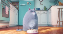 “Comme des bêtes” s’empare de la tête du box-office nord-américain