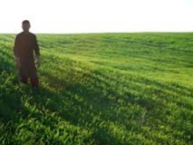 Le revenu des agriculteurs multiplié par 2,7 grâce au DRIP