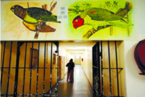 Au restaurant où le garçon est un voleur Au restaurant où le garçon est un voleur