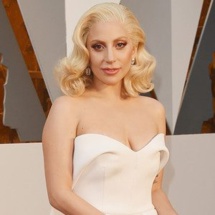 Bouillon de Culture Bouillon de Culture