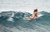 L'Australie, haut lieu du surf, a peur des dents de la mer