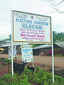 Cameroun : Jusqu’où ira la fermeture du régime ? Cameroun : Jusqu’où ira la fermeture du régime ?