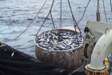 Chasse, pêche, agriculture: des ennemies de la biodiversité pires que le réchauffement Chasse, pêche, agriculture: des ennemies de la biodiversité pires que le réchauffement