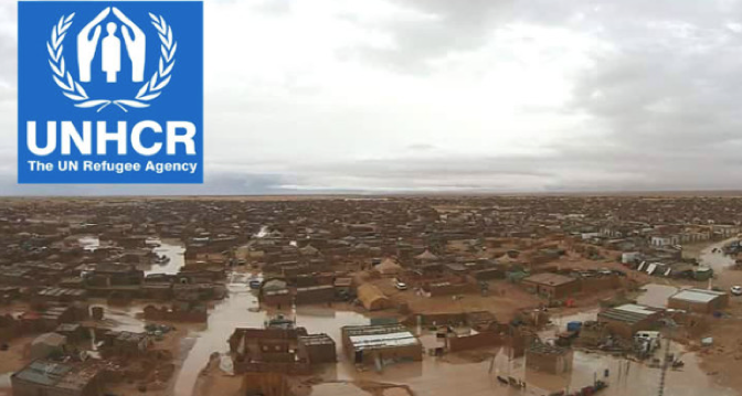 Nouveaux détournements de l’aide  humanitaire destinée aux camps de Tindouf
