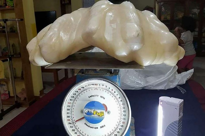 Insolite : Perle bien cachée