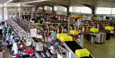 Prêt de 2,5 millions d’euros de la BERD pour soutenir le secteur agroalimentaire au Maroc
