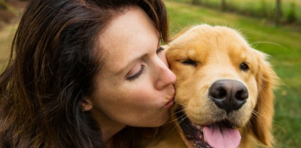 La sociabilité du chien serait génétique