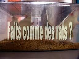 Insolite