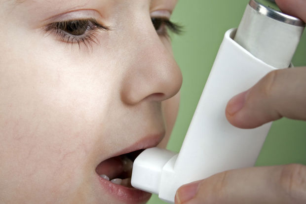 Une protéine sécrétée par un ver parasite offre un espoir contre l'asthme