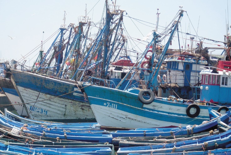 Hausse des débarquements de la pêche côtière et artisanale