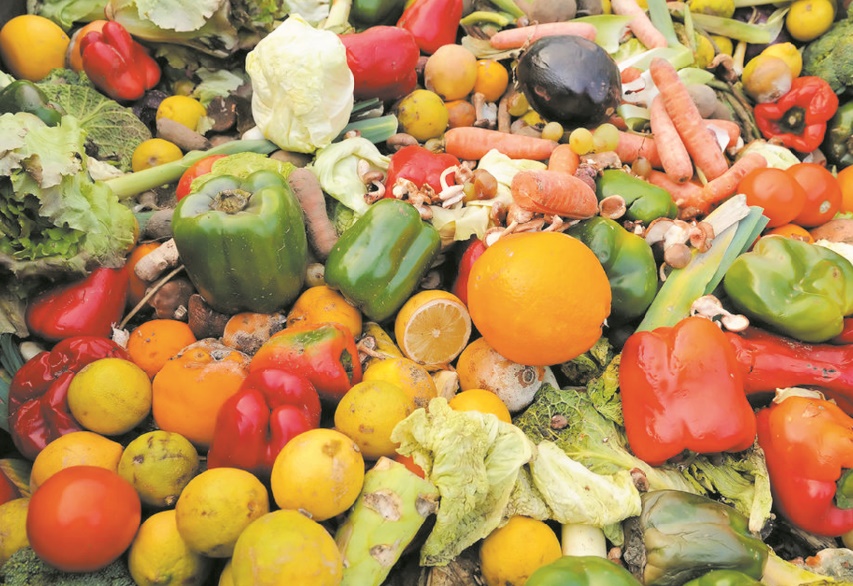 La réduction du gaspillage alimentaire constitue une priorité en Méditerranée
