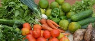 La qualité garantit un développement durable aux produits locaux La qualité garantit un développement durable aux produits locaux