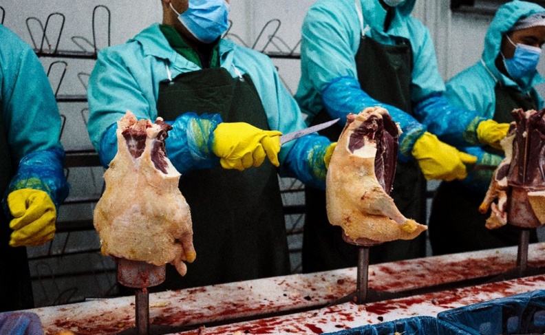 Les foies gras bulgares et hongrois à l'assaut du monde