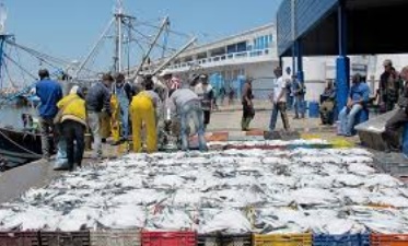 Hausse de 8% des débarquements de la pêche côtière et artisanale à fin novembre