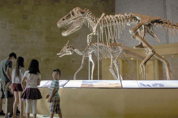 La Mongolie veut récupérer ses dinosaures pillés La Mongolie veut récupérer ses dinosaures pillés