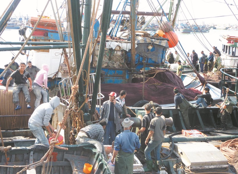Les industriels  jugent “infondée” la demande d’augmentation des prix du poisson industriel Les industriels  jugent “infondée” la demande d’augmentation des prix du poisson industriel
