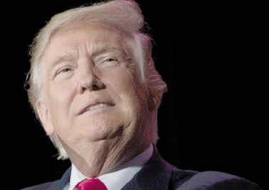 Insolite : Une mite nommée Trump