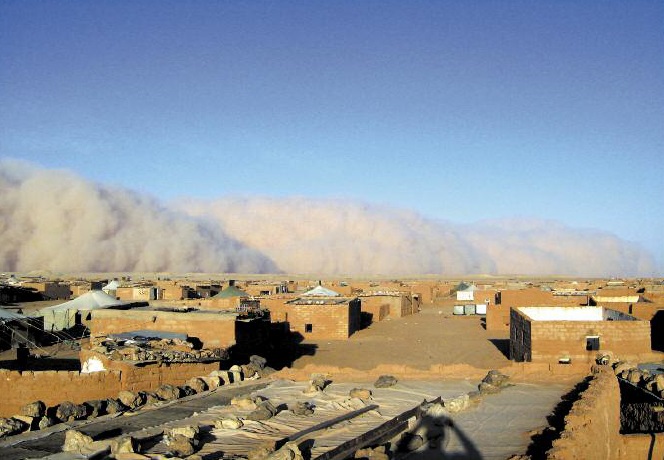 Purge au sein du Polisario Purge au sein du Polisario