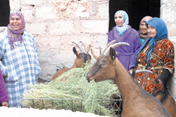 Sessions de coaching au profit de femmes entrepreneuses des montagnes