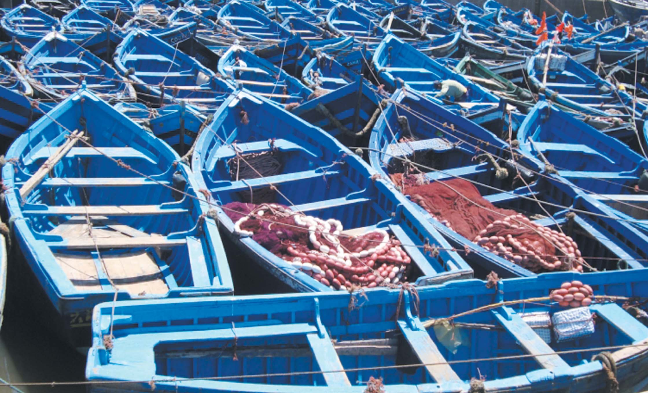 Le manque à gagner  généré par la surpêche : Plus de 80 milliards de dollars perdus annuellement à travers le monde