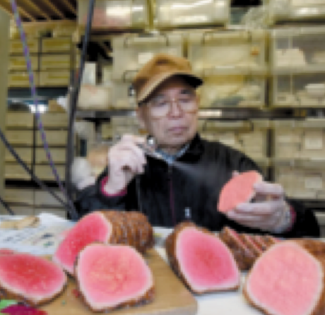 Des répliques de mets plus appétissantes que les vrais