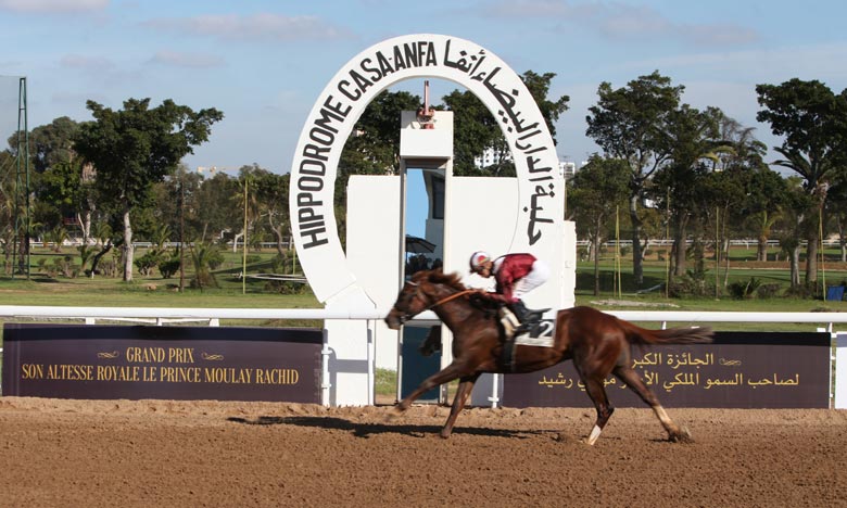 Le cheval Famous Mark remporte le GP SAR  le Prince Moulay Rachid des courses hippiques