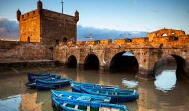 Arrestation à Essaouira d’une personne détenant illégalement une grande quantité de thuya Arrestation à Essaouira d’une personne détenant illégalement une grande quantité de thuya